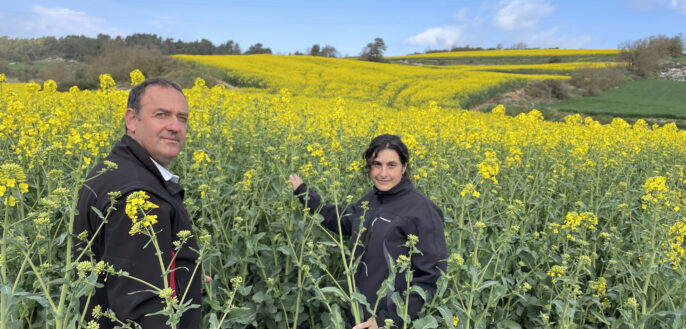 El pagès i soci de l'ADV de Conreus Herbacis Sostenibles, Pep Gual, i la tècnica de l'ADV, Sara Vila, col·locant una de les capsetes amb capolls de sírfids