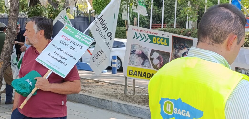Concentració davant el Ministeri per la gestió del llop, el darrer 20 d'agost