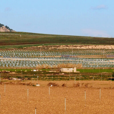Imatge d'un dels camps afectats pel projecte de construcció de parc solar a Alcarràs (Segrià). FOTO: Josep Castells