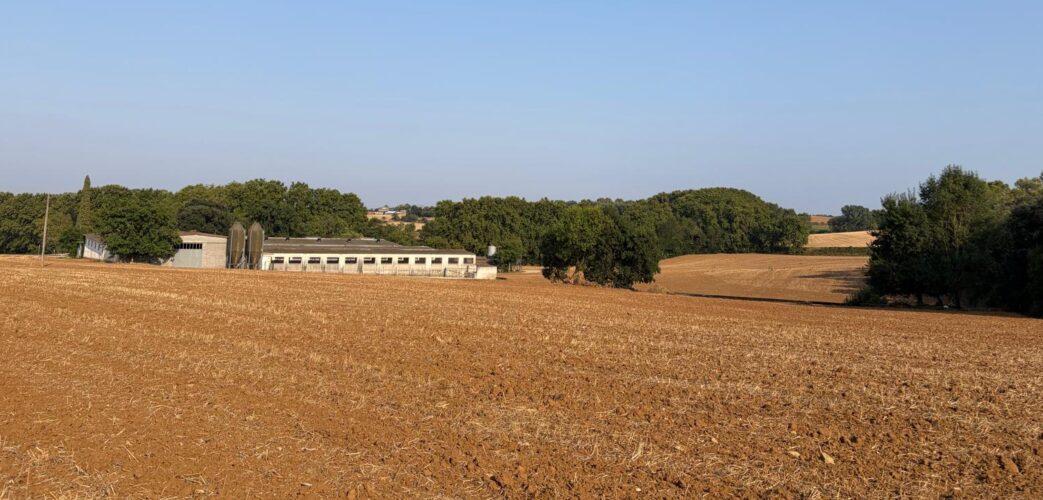 Un camp, amb una granja al fons, al terme de Camós, al Pla de lEstany